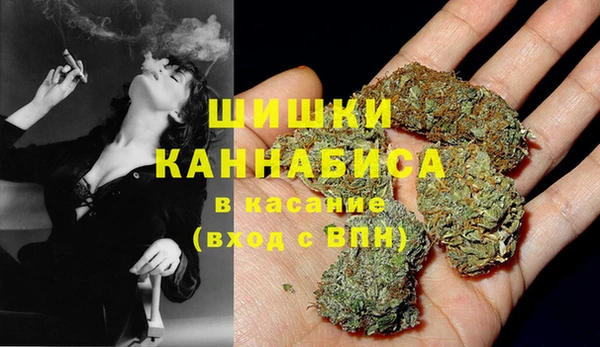 трава Медногорск