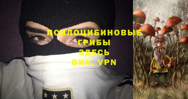 ешки Медвежьегорск