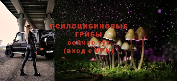 трава Медногорск