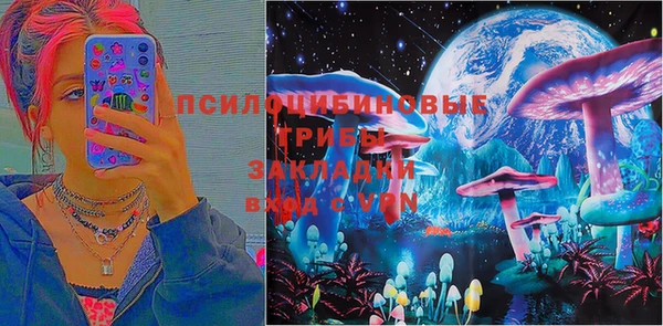 ешки Медвежьегорск